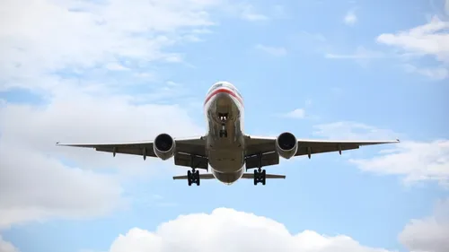Un vautour heurte un avion en plein vol (Photo)